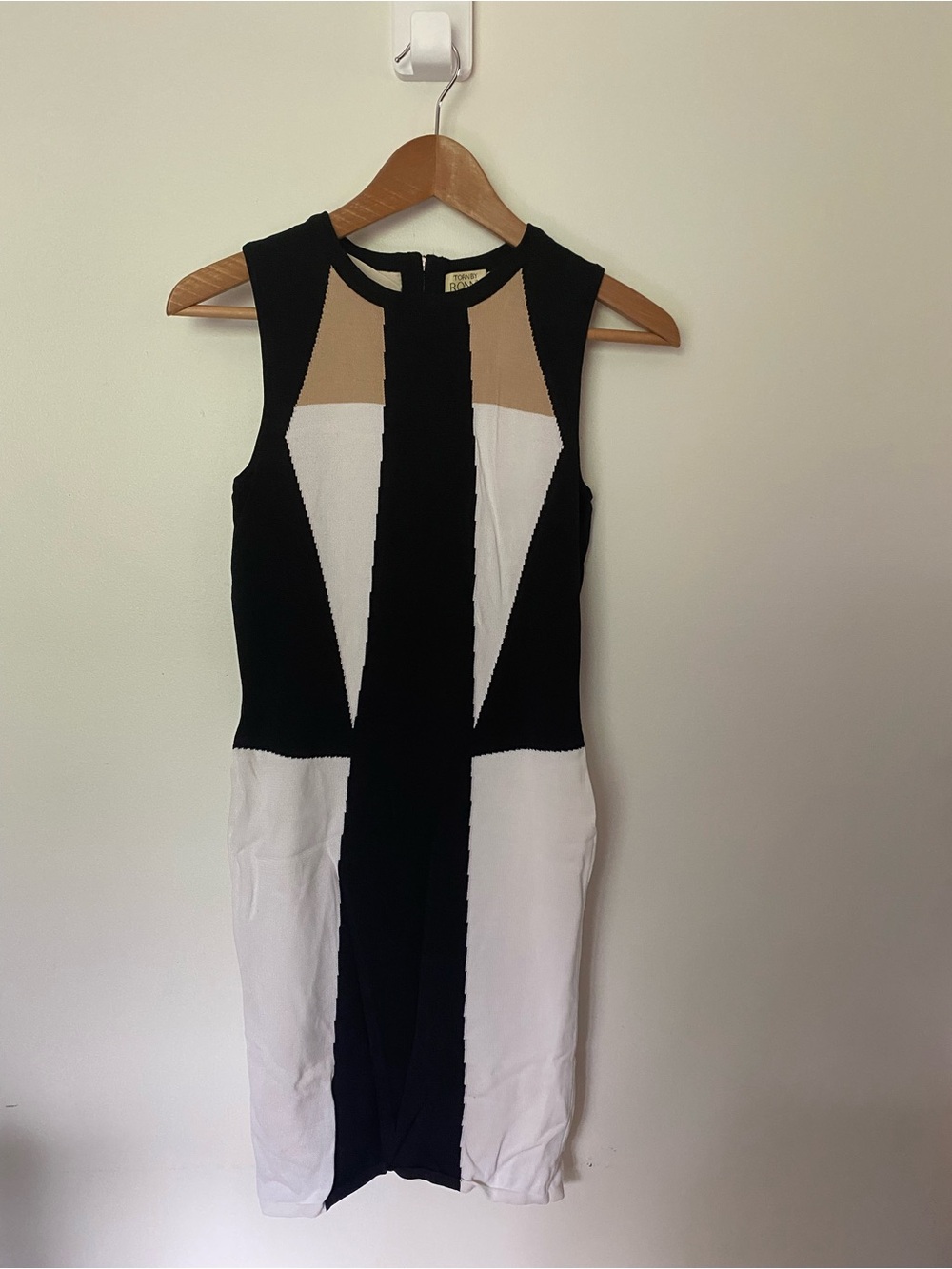 Torn by Ronny Kobo Dress